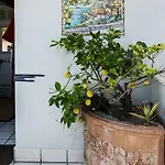 Апартаменты Martucci With Seaview *