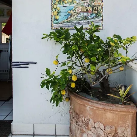 Apartment Martucci With Seaview *
