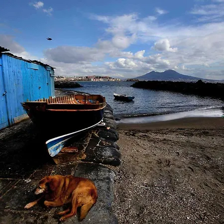 Martucci With Seaview Νάπολη